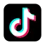 TikTok to RSS logo